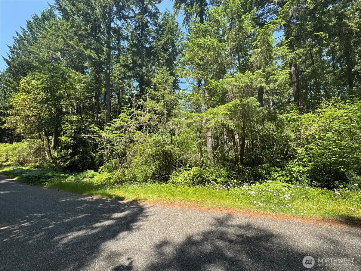 11409 Hillcrest Drive #82 & 83, Anderson Island, WA 98303 - #1