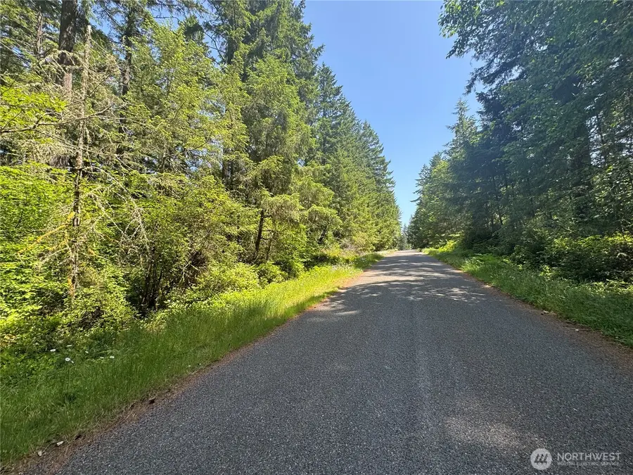 11409 Hillcrest Drive #82 & 83, Anderson Island, WA 98303 - #3
