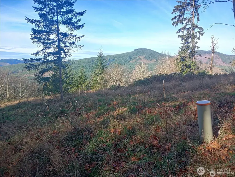 167 Wagner Road, Kelso, WA 98626 - #2