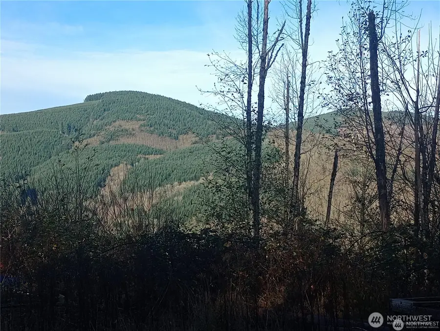 167 Wagner Road, Kelso, WA 98626 - #3