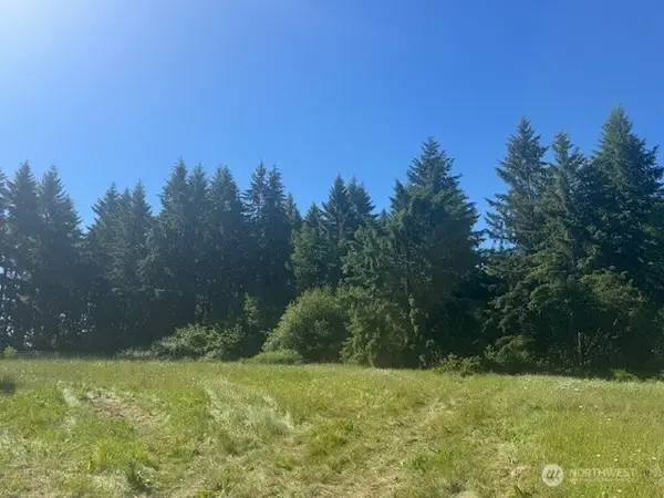 692 Burchett Road, Onalaska, WA 98570