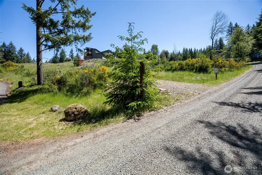 113 Hellem Drive, Packwood, WA 98361 - #3
