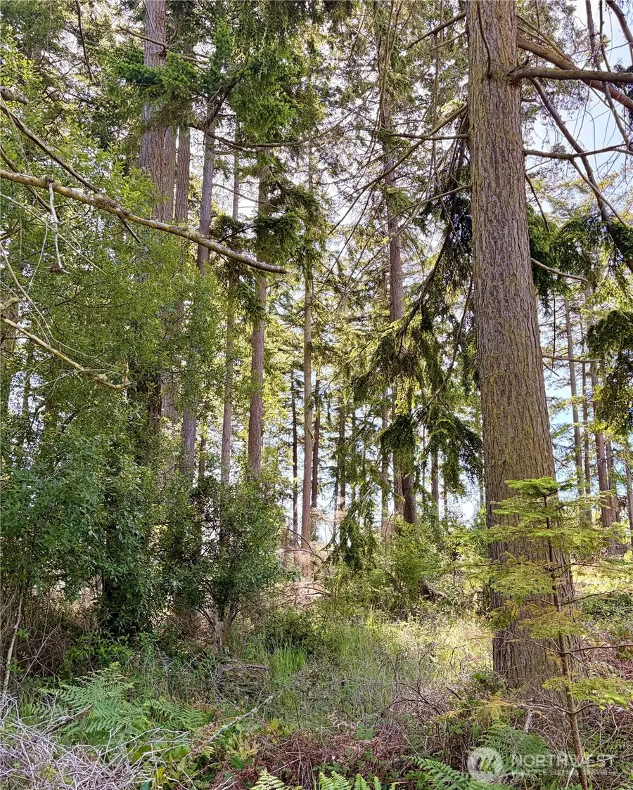 0 Old Cedar Lane, Oak Harbor, WA 98277 - #3
