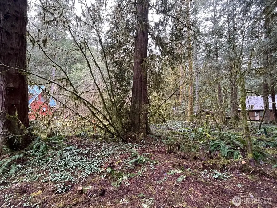 7138 Rainier Way #5, Glacier, WA 98244 - #3