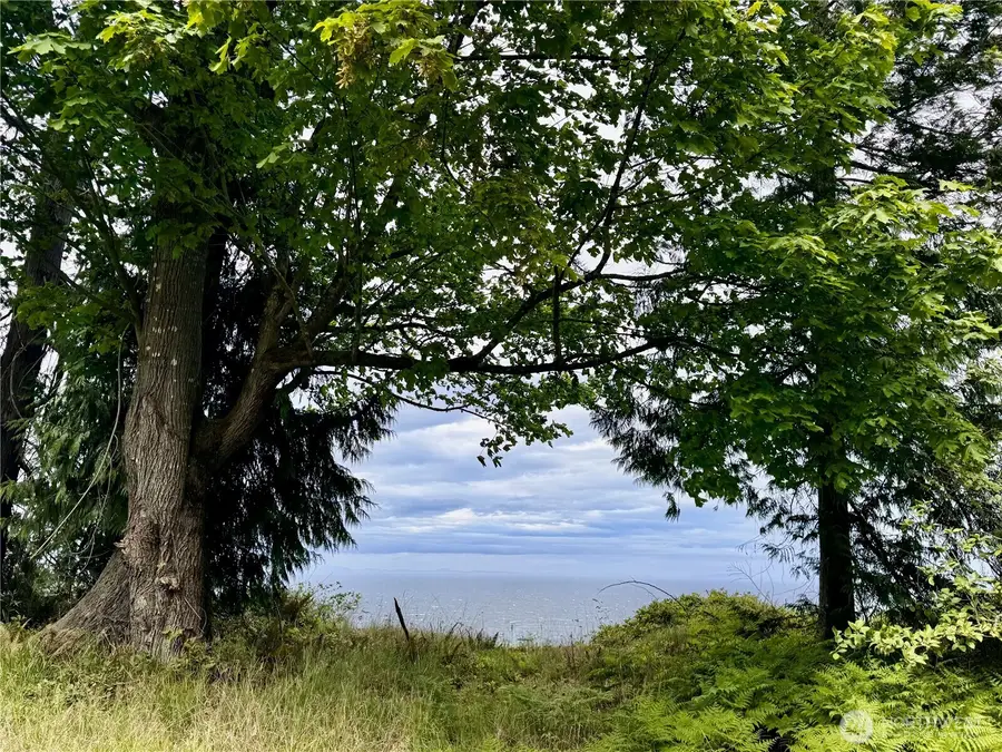715 N Bagley Creek Road, Port Angeles, WA 98362 - #2