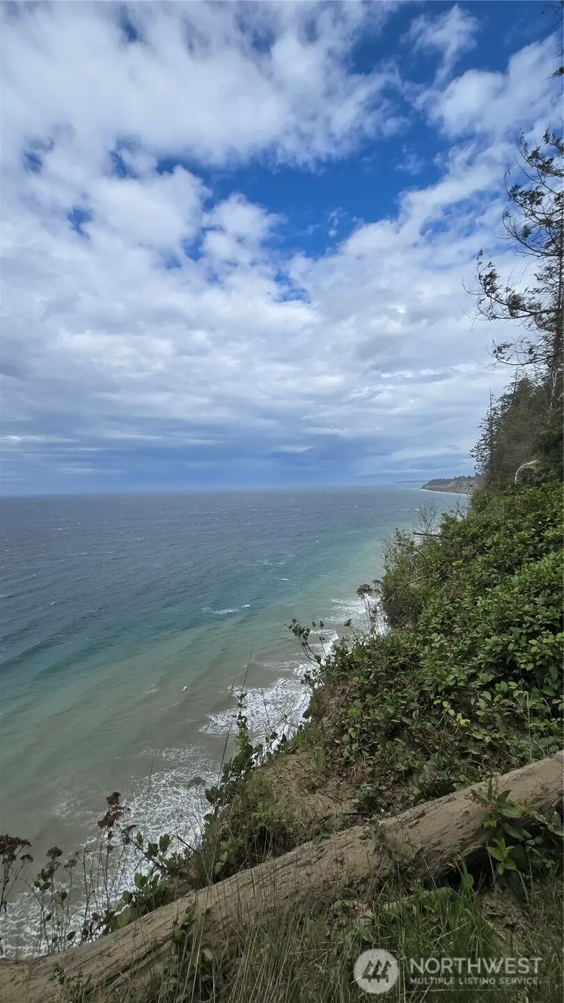 715 N Bagley Creek Road, Port Angeles, WA 98362 - #3