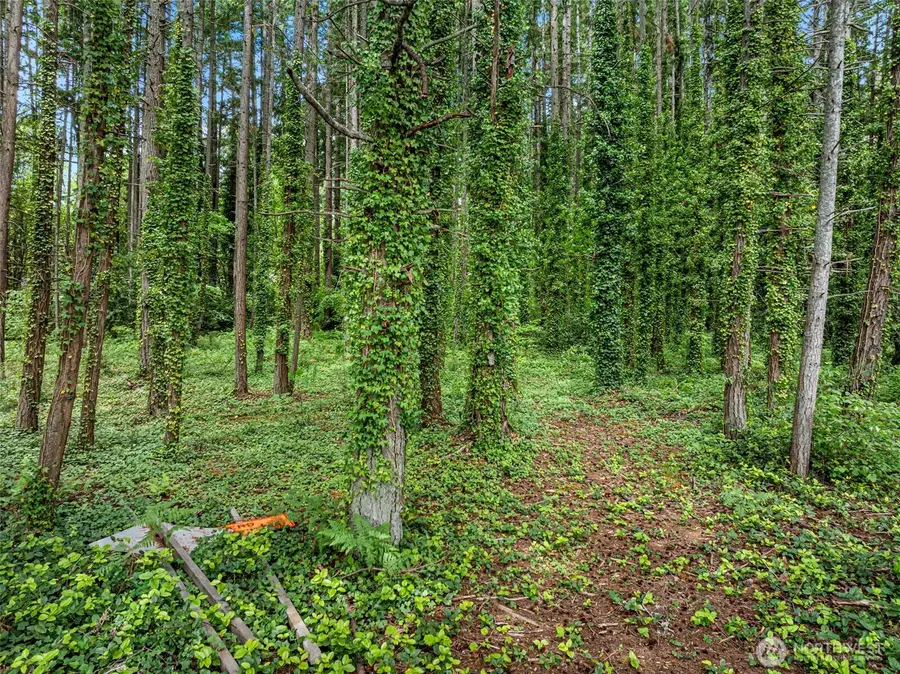 0 NE West Port Madison Road, Bainbridge Island, WA 98110 - #2