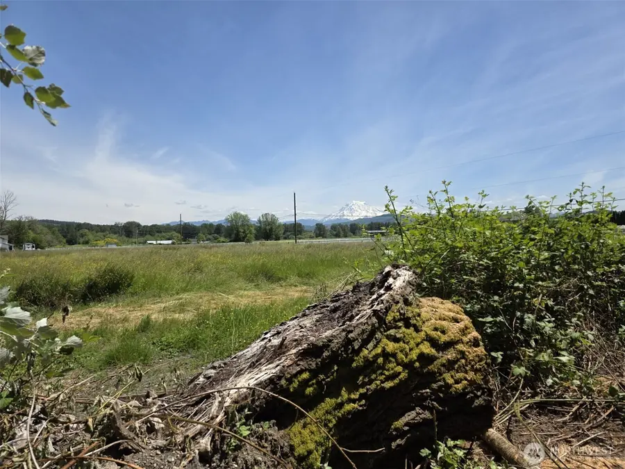 14717 168th Street E, Orting, WA 98360 - #3