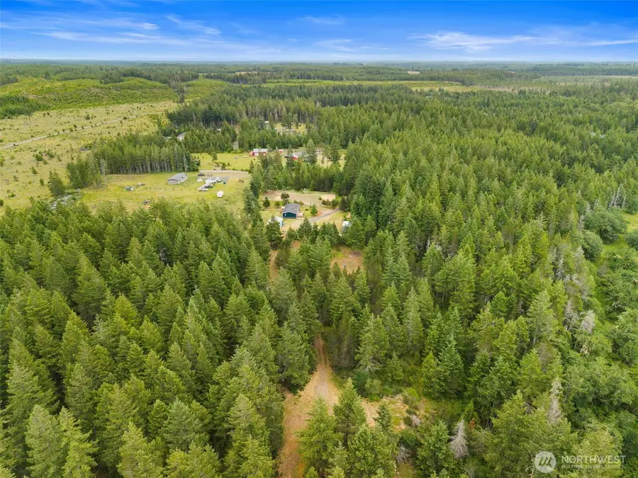 790 W Honeysuckle, Shelton, WA 98584 - #3