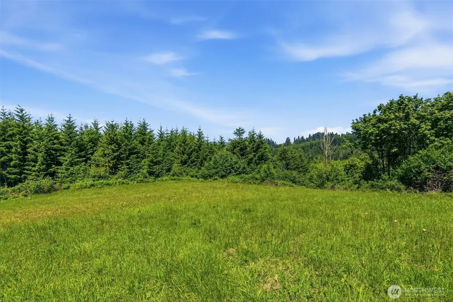 852 Confer Road, Kalama, WA 98625 - #3