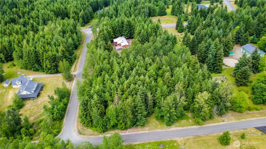 19829 147th Avenue Se, Yelm, WA 98597 - #3