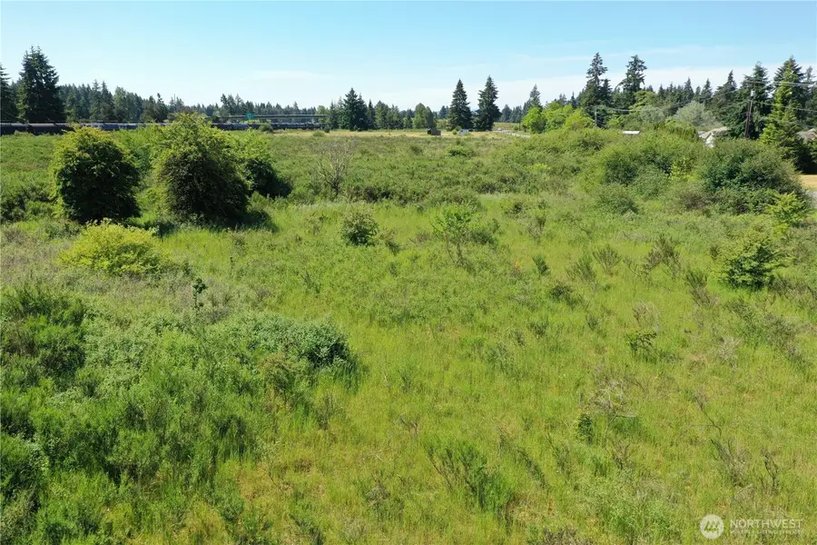 18132 Case Road Sw, Rochester, WA 98579 - #3