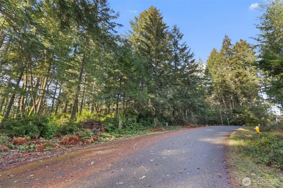 10510 Olympic Place, Anderson Island, WA 98303 - #2