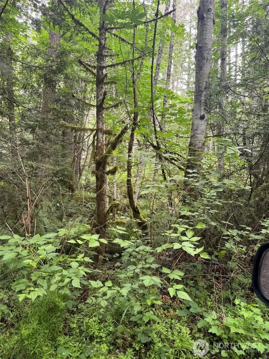 0 Widme Road Ne, Poulsbo, WA 98370 - #2
