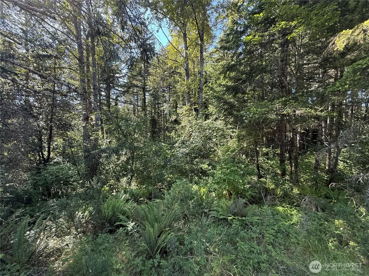 155 62nd Avenue Nw, Gig Harbor, WA 98332 - #1