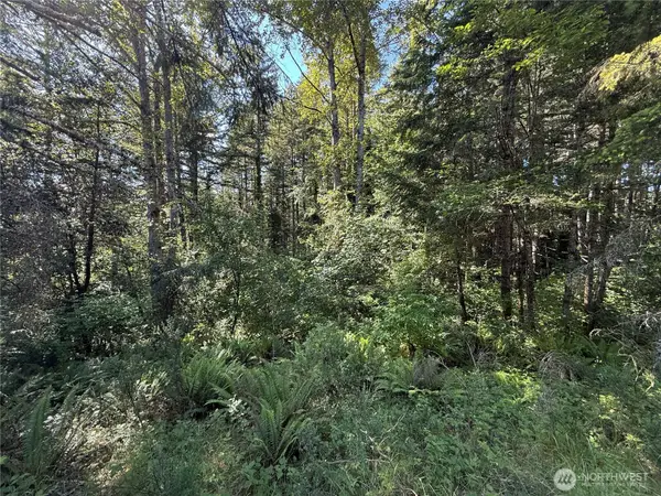 155 62nd Avenue Nw, Gig Harbor, WA 98332