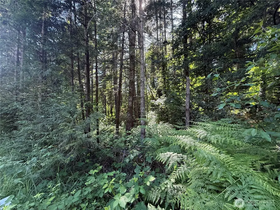155 62nd Avenue Nw, Gig Harbor, WA 98332 - #3