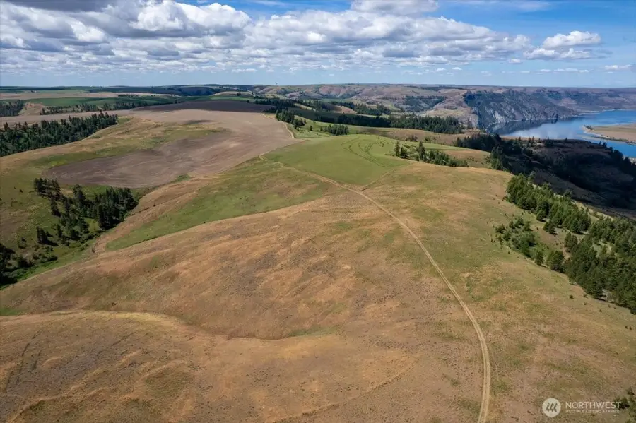 45000 Hanson Harbor Road N, Wilbur, WA 99185 - #2