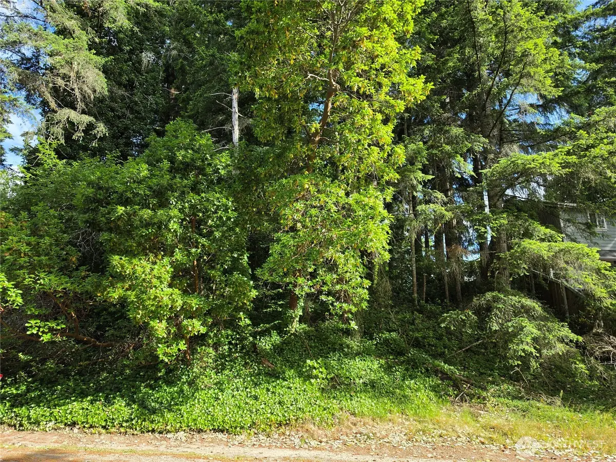 140 NE Matthew Drive #110, Belfair, WA 98528 - #1