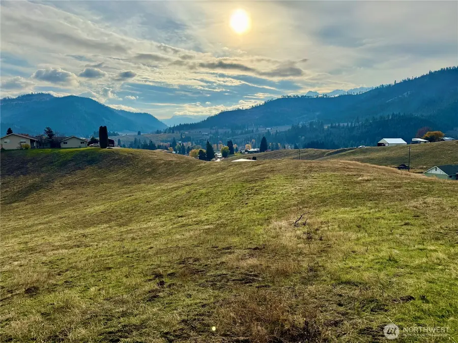 848 Larson Rd #Lot 2, Peshastin, WA 98847 - #3