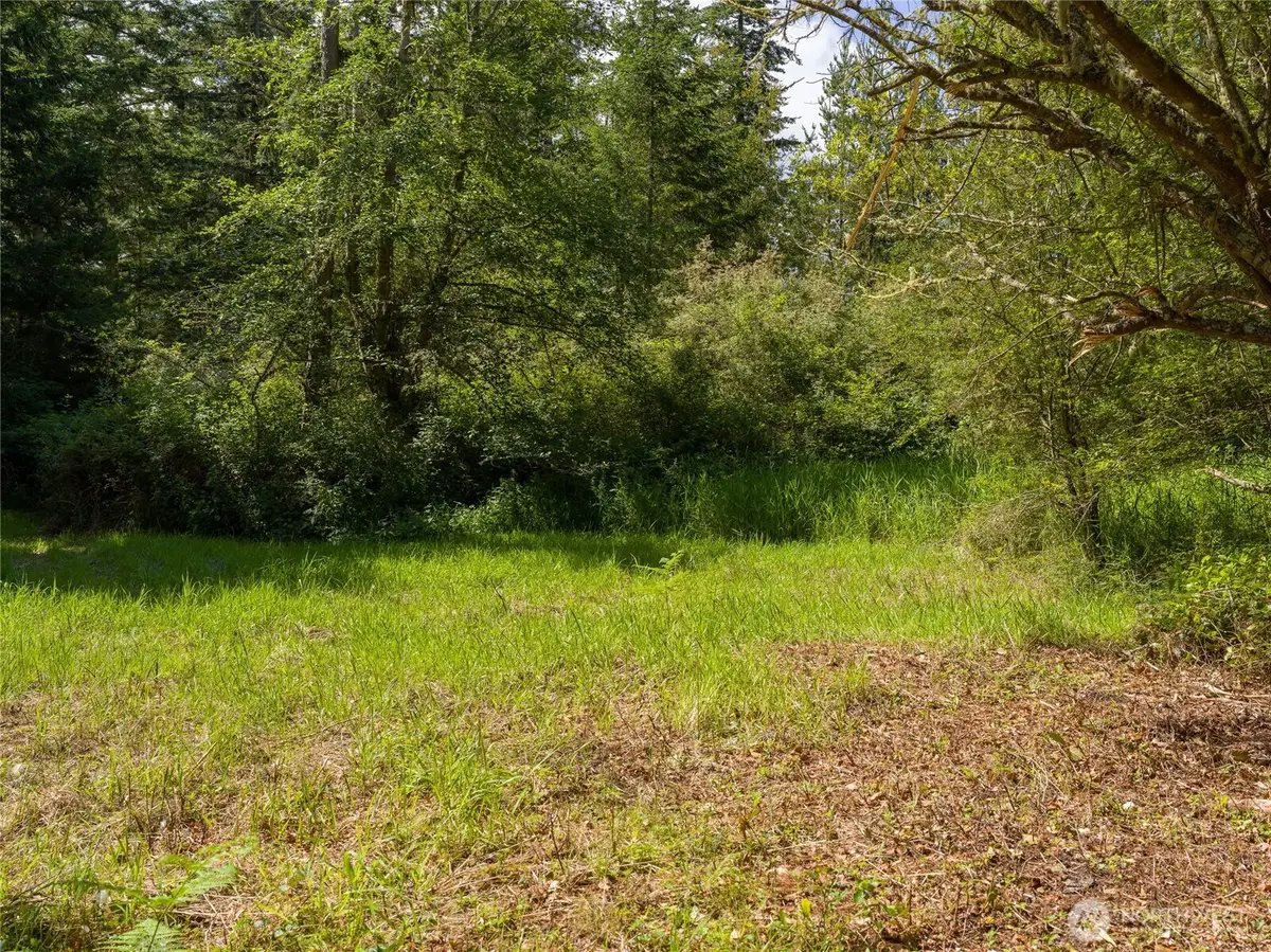 1486 Center Road, Lopez Island, WA 98261 - #1