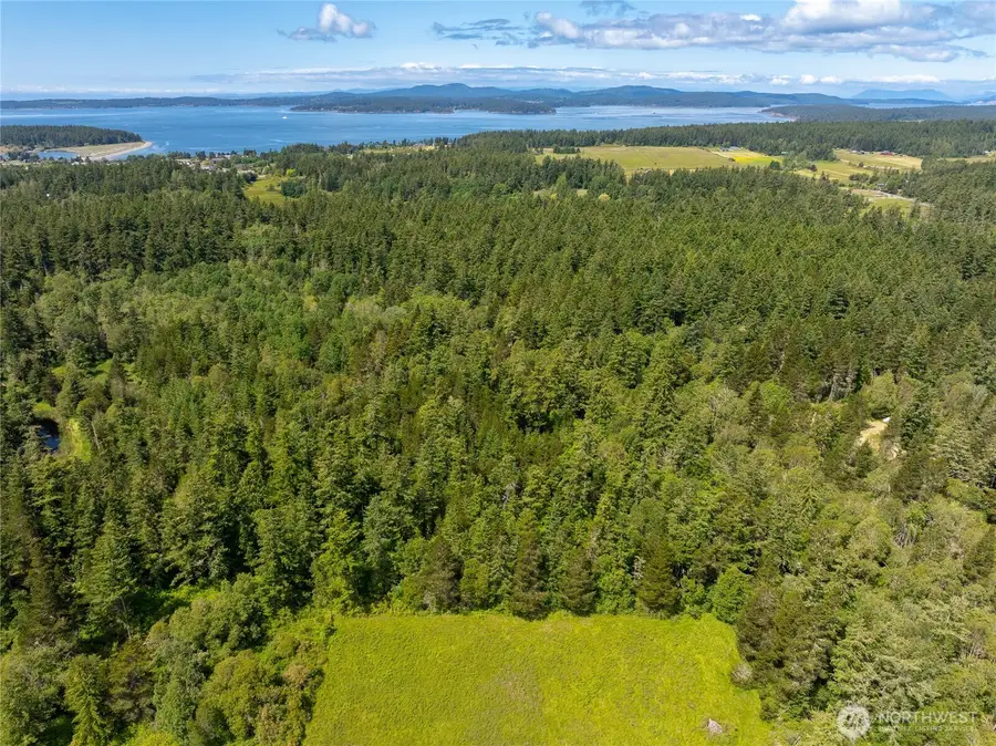 1486 Center Road, Lopez Island, WA 98261 - #3