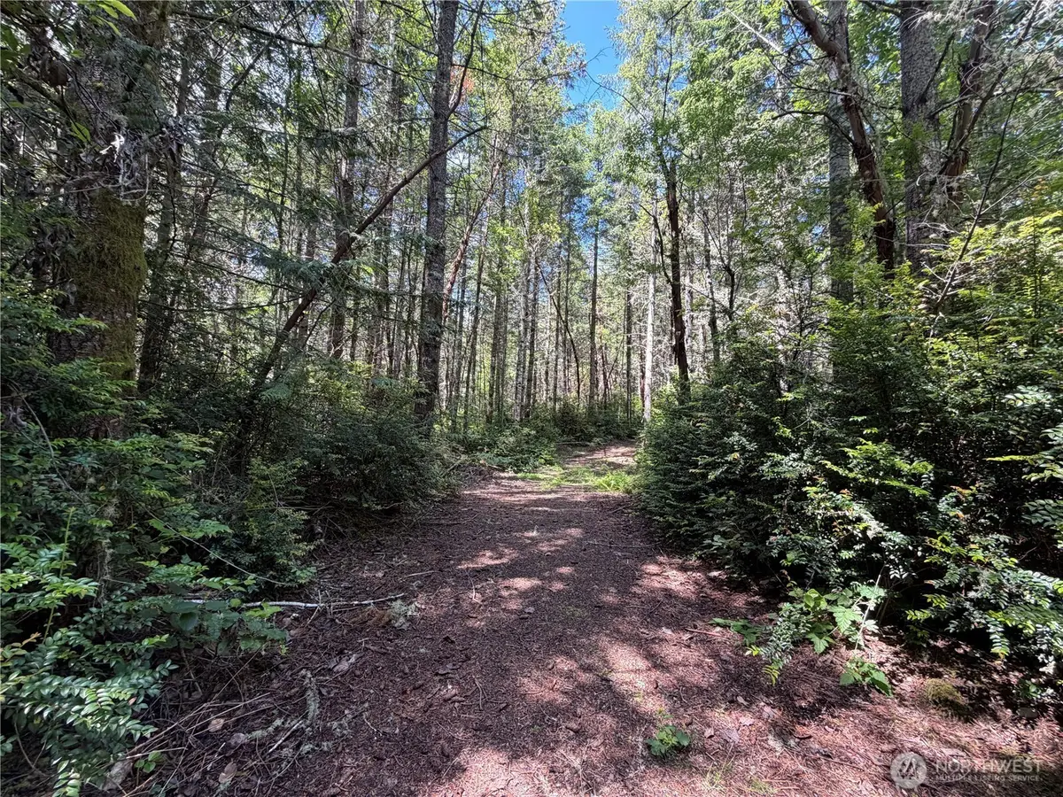 178 Geoduck Drive, Quilcene, WA 98376 - #1