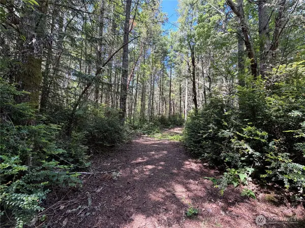 178 Geoduck Drive, Quilcene, WA 98376