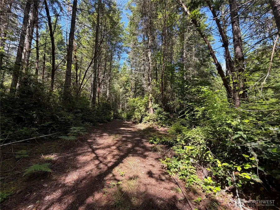 178 Geoduck Drive, Quilcene, WA 98376 - #2