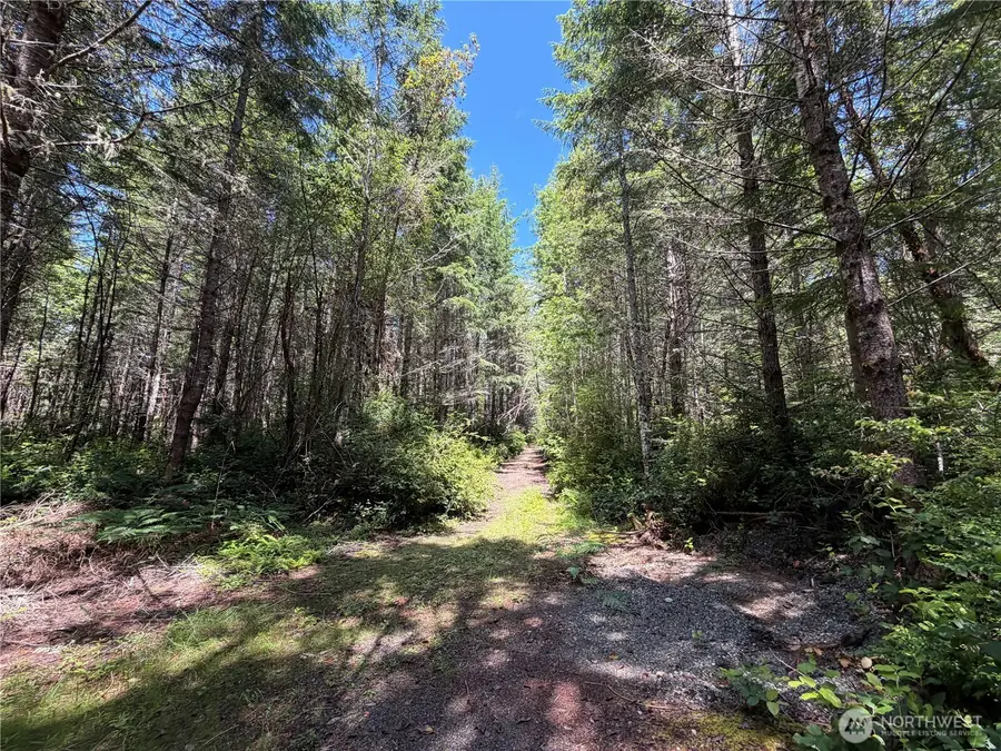 178 Geoduck Drive, Quilcene, WA 98376 - #3