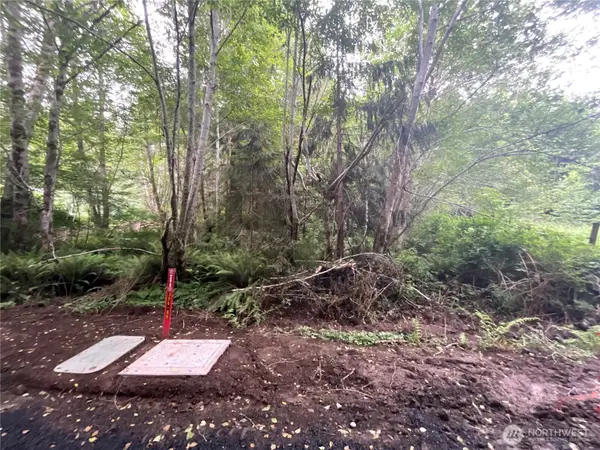 200 W Thunderbird Drive #Lot  38, Elma, WA 98541