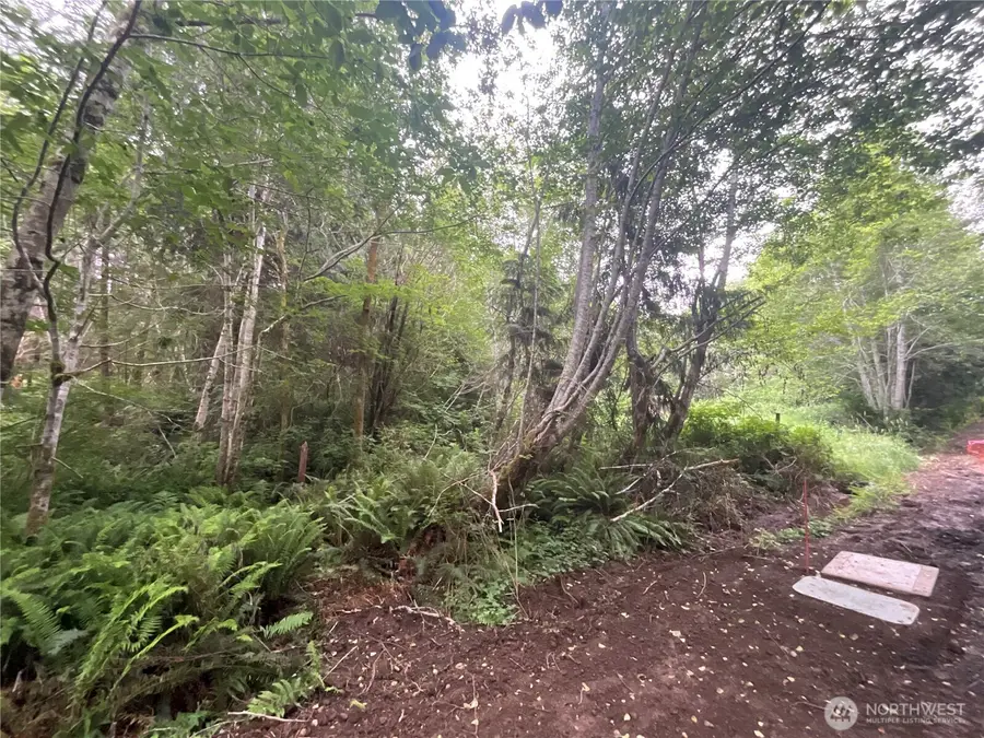 200 W Thunderbird Drive #Lot  38, Elma, WA 98541 - #2
