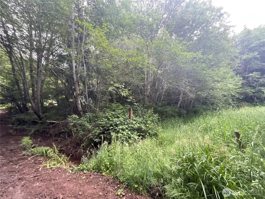200 W Thunderbird Drive #Lot  38, Elma, WA 98541 - #3