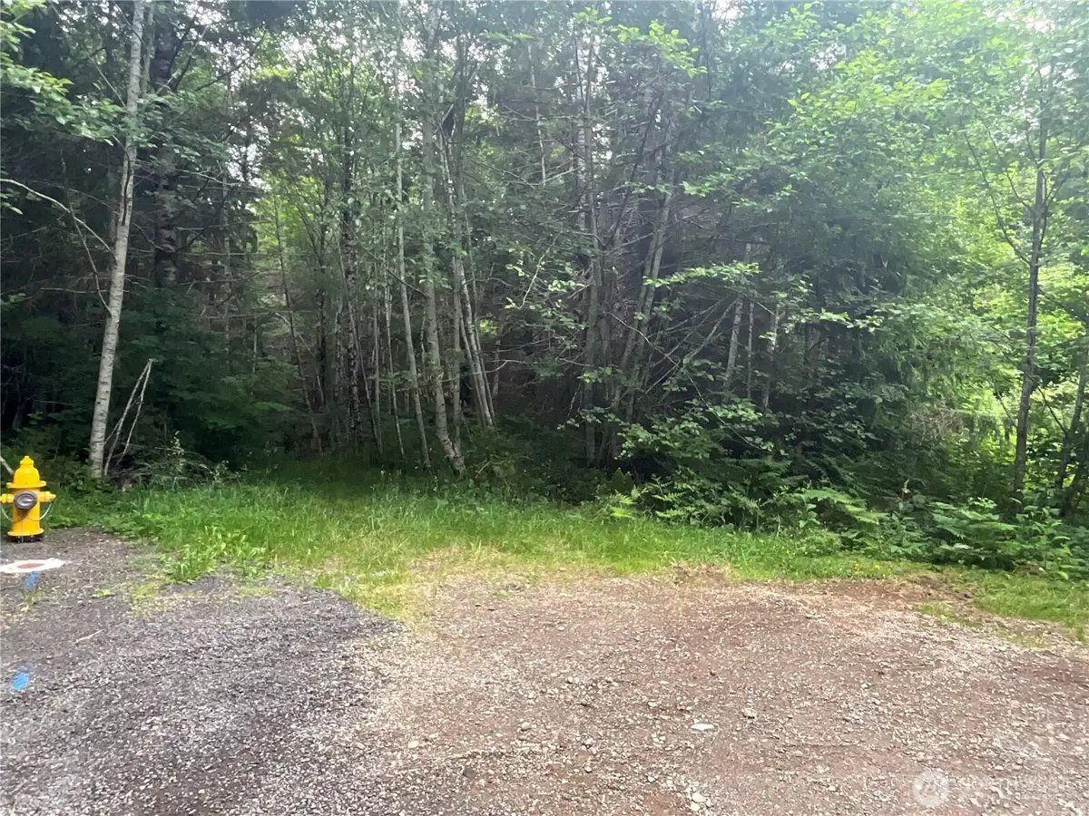 310 W Thunderbird Drive #Lot 30, Elma, WA 98541 - #1