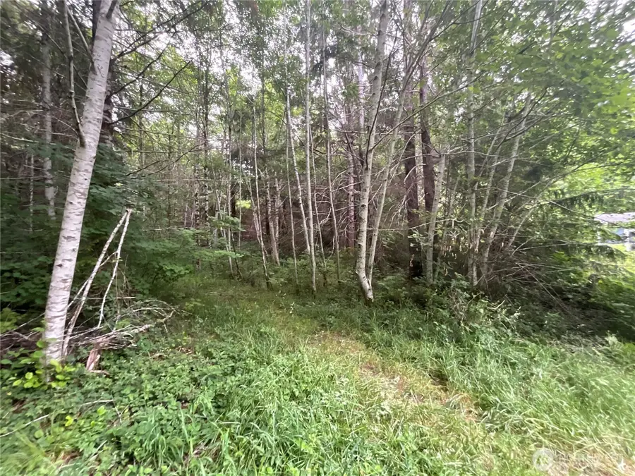 310 W Thunderbird Drive #Lot 30, Elma, WA 98541 - #3