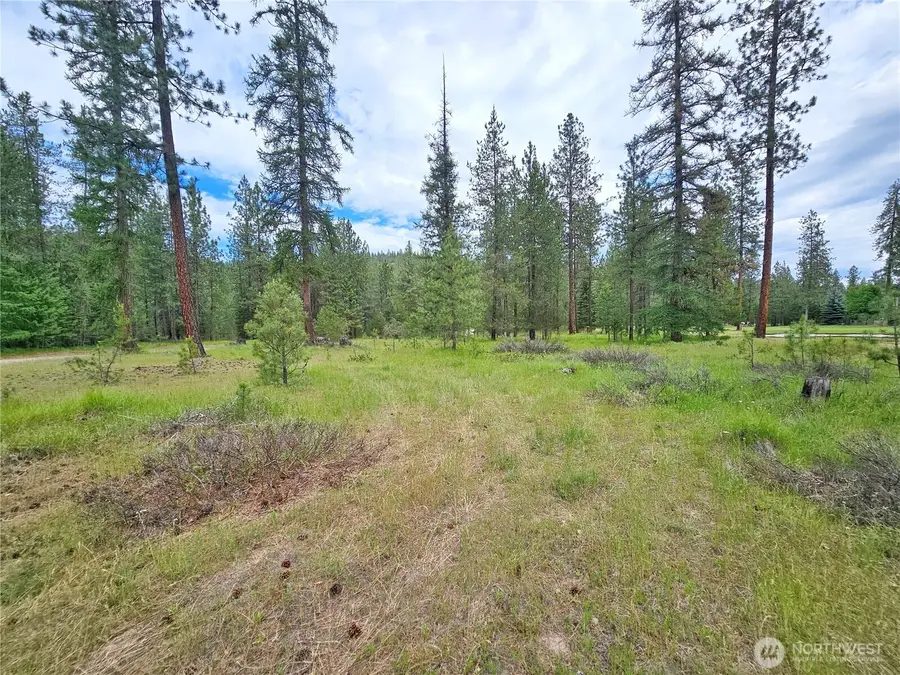 400 Lot 9 Couples Court #9, Chewelah, WA 99109 - #2