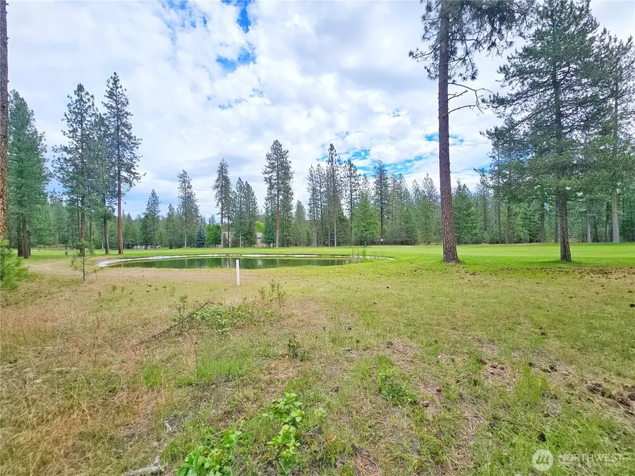 400 Lot 9 Couples Court #9, Chewelah, WA 99109 - #3