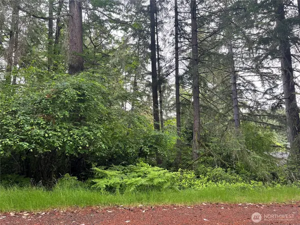 11111 Juniper Place #155, Anderson Island, WA 98303