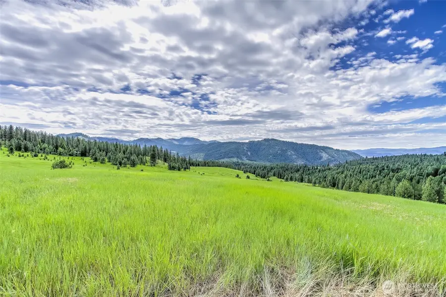 3610 Breckenridge Road, Rice, WA 99167 - #2