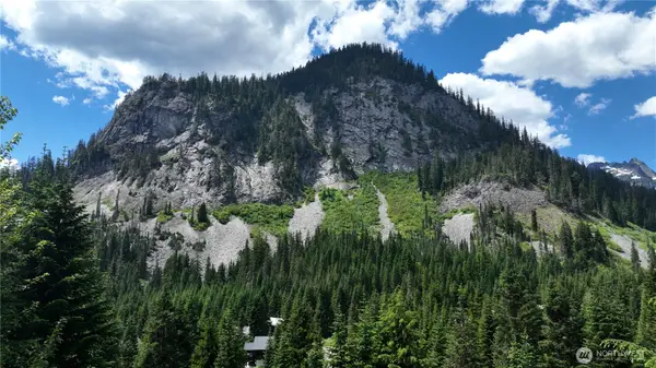 30 Saint Anton #30, Snoqualmie Pass, WA 98068