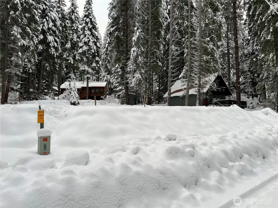3031 Memory Lane #31 and 32, Leavenworth, WA 98826 - #3