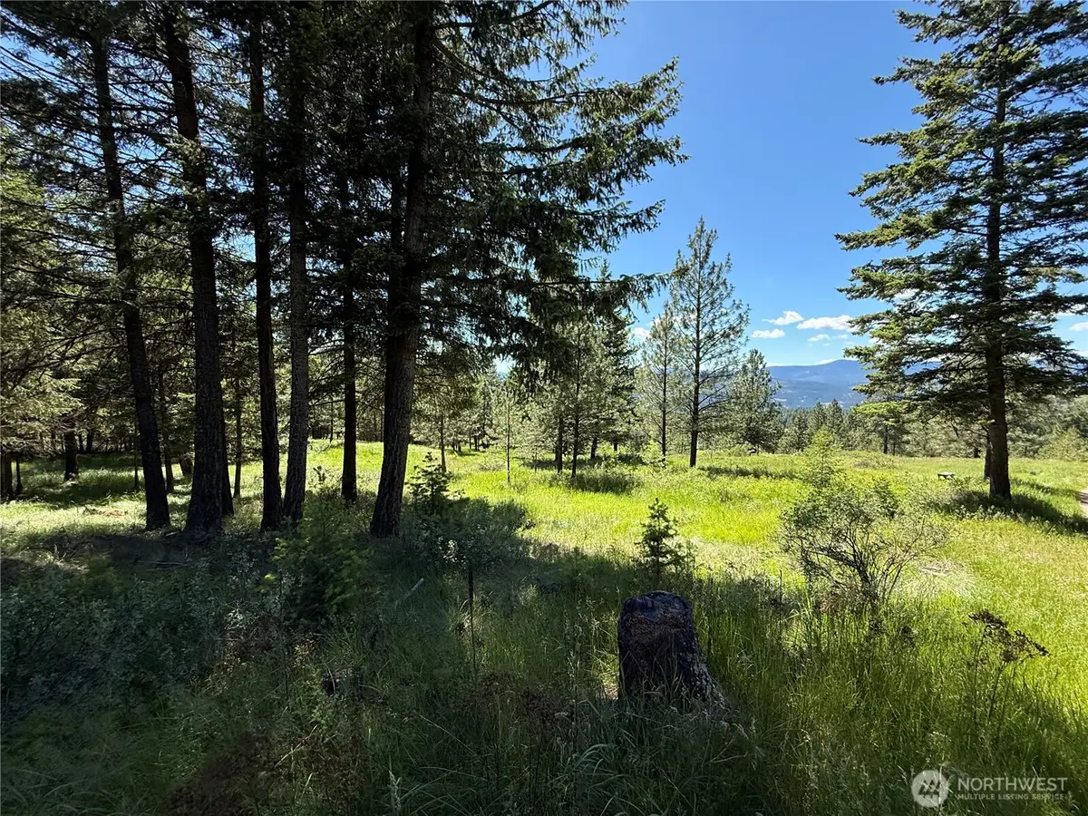 5 Hidden Spring Ranch Road #Lot 2, Republic, WA 99166 - #1