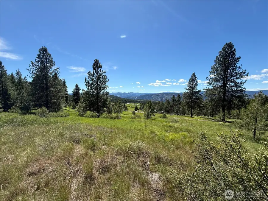 5 Hidden Spring Ranch Road #Lot 2, Republic, WA 99166 - #3