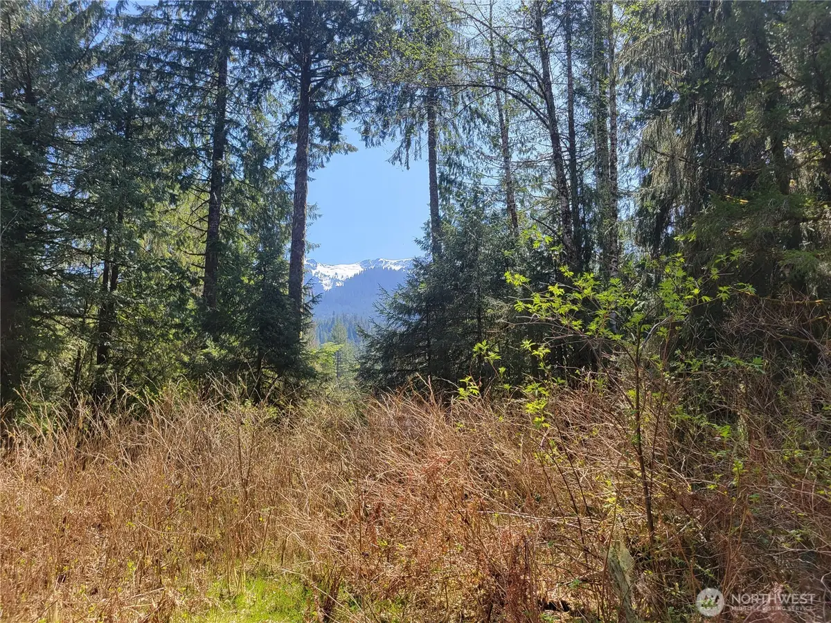 0 Mtn Loop Highway, Granite Falls, WA 98252 - #1
