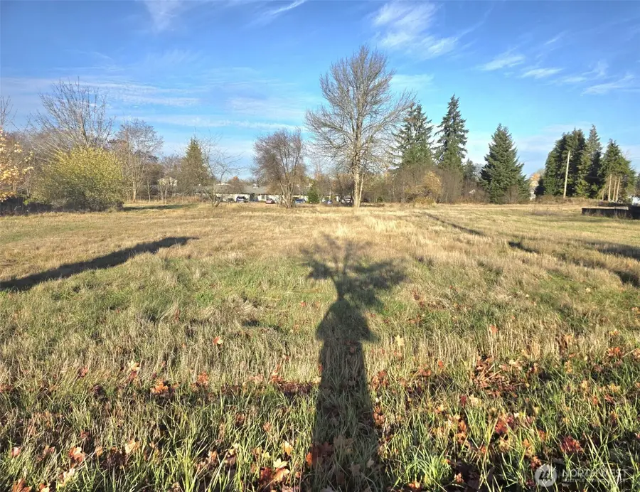 606 Yelm Avenue W, Yelm, WA 98597 - #2