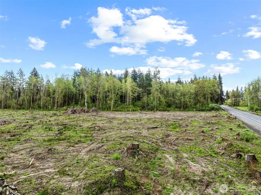 4949 Jackson Highway N, Toledo, WA 98591 - #3