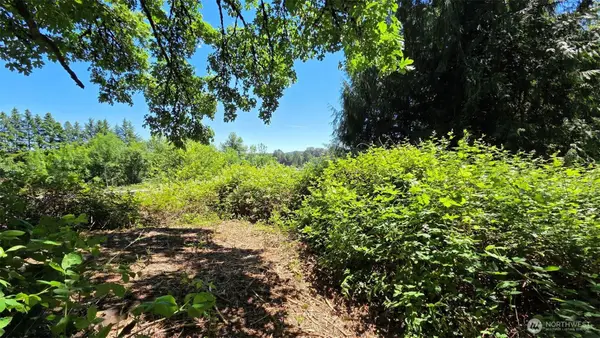123 Mulford Road, Toledo, WA 98591