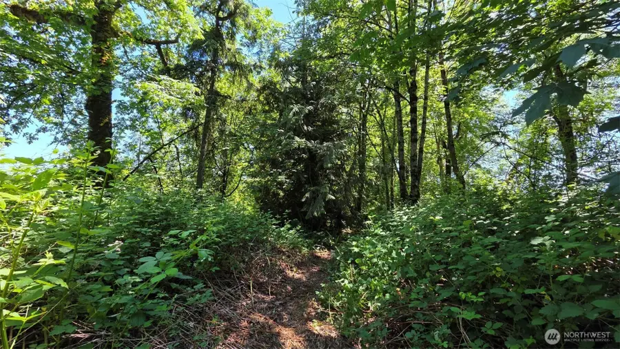 123 Mulford Road, Toledo, WA 98591 - #2
