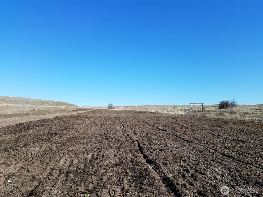 20 Seven Springs Dairy Road #Lot A, Davenport, WA 99122 - #3