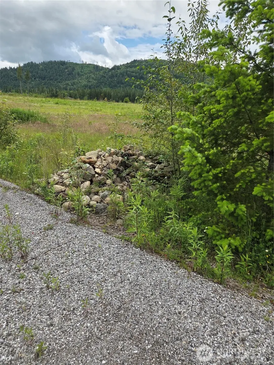 9242 Heady Road, Sumas, WA 98295 - #3